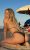 Ankara Rus escort Vip Anastasiya