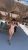 Ankara escort bayanlarından vip escort Asenya