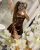 Ankara escort bayanlarından vip escort Asenya